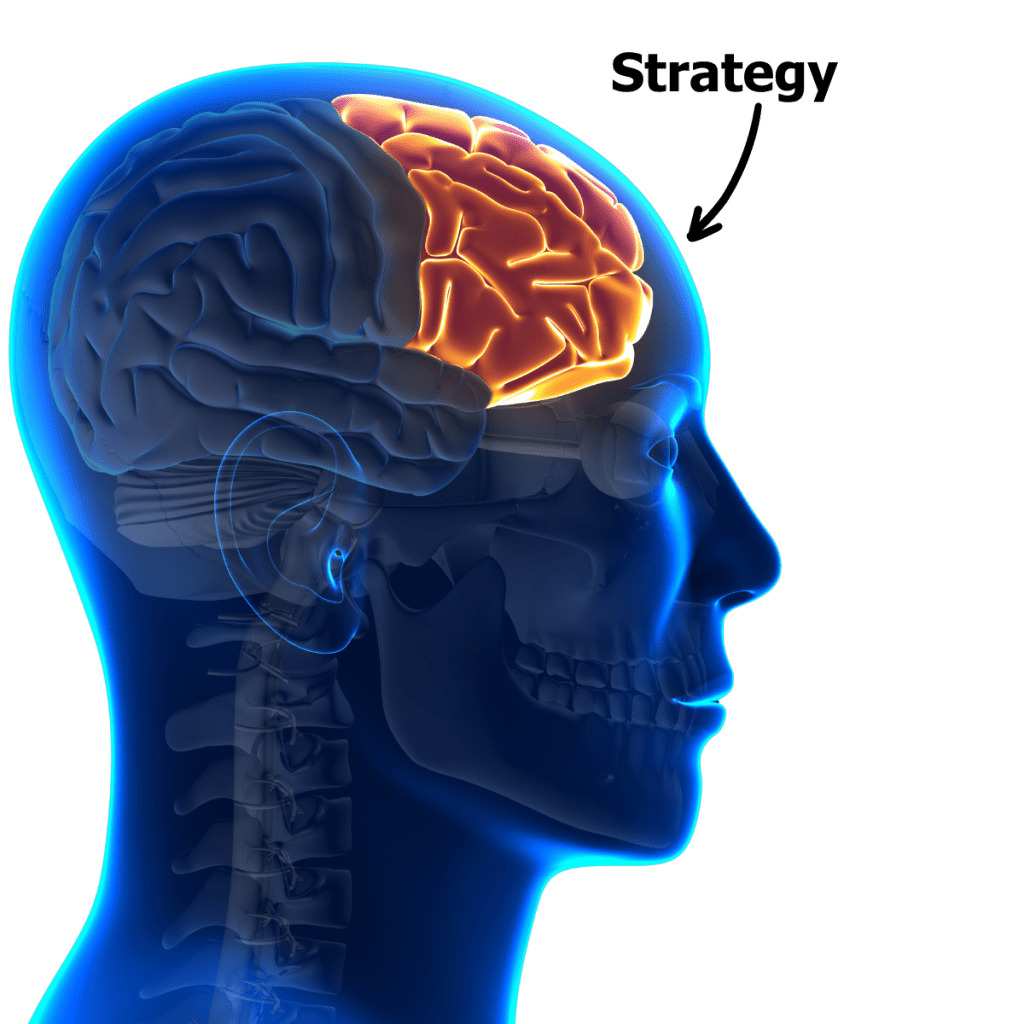 a picture of brain thinking of strategy during a nonprofit strategic mini.