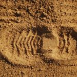 footprint in the dust