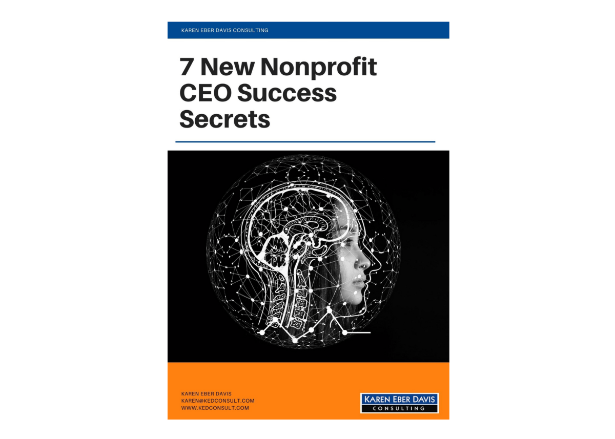 7 New Nonprofit CEO Success Secrets